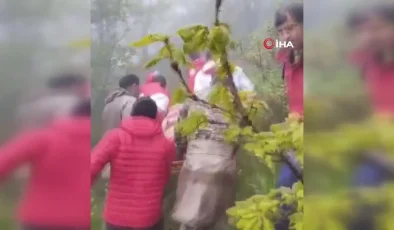 İran’da yönetimi geçici olarak cumhurbaşkanı yardımcısı Muhbir devralacak