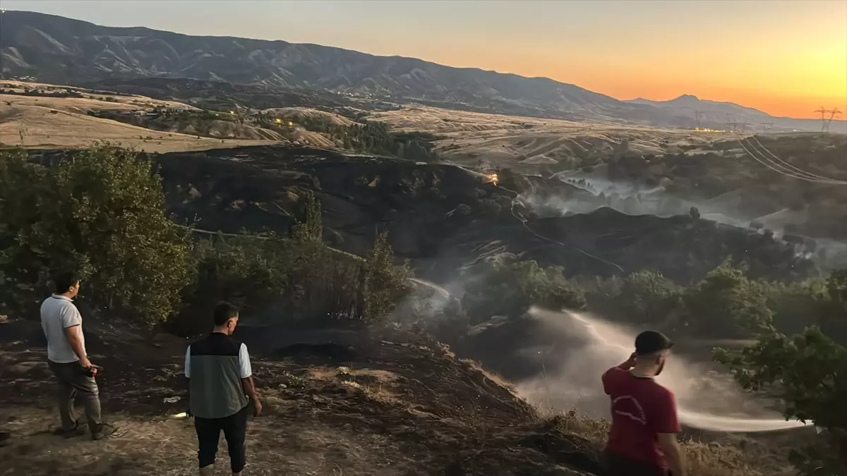 Genç’te Orman Yangını Söndürüldü